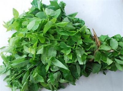 quangninh24h Mẹo chế biến rau, củ, quả giảm 90% độc hại