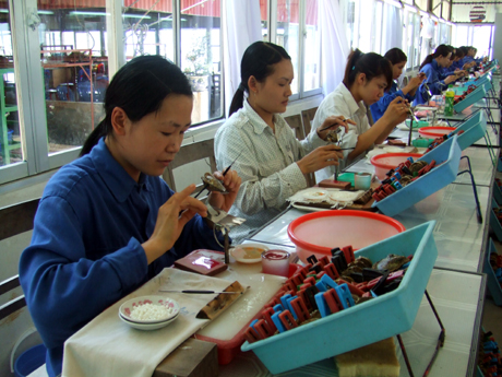 quangninh24h Nợ bảo hiểm xã hội gia tăng: Cần có cơ chế bảo vệ người lao động