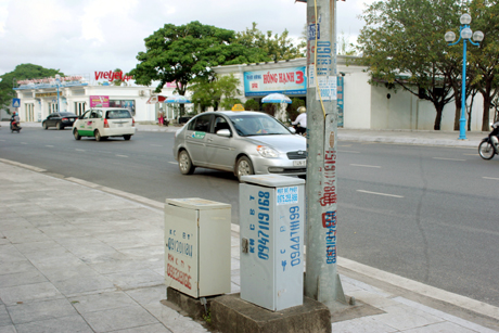 TP Hạ Long: 